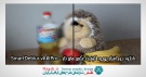 دانلود نرم افزار بهبود کیفیت عکس های تار - SmartDeblur Pro